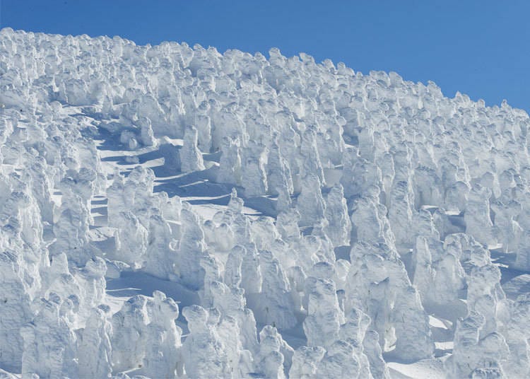 1. Get amazing Instaworthy photos from the land of “snow monsters” at Mt Zao in Yamagata Prefecture!