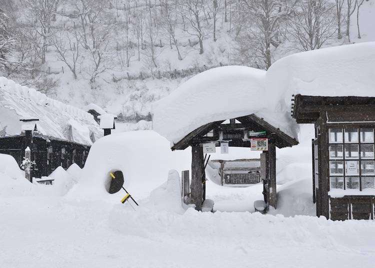 在台灣體驗不到的浪漫冬季！日本東北的雪季體驗4選