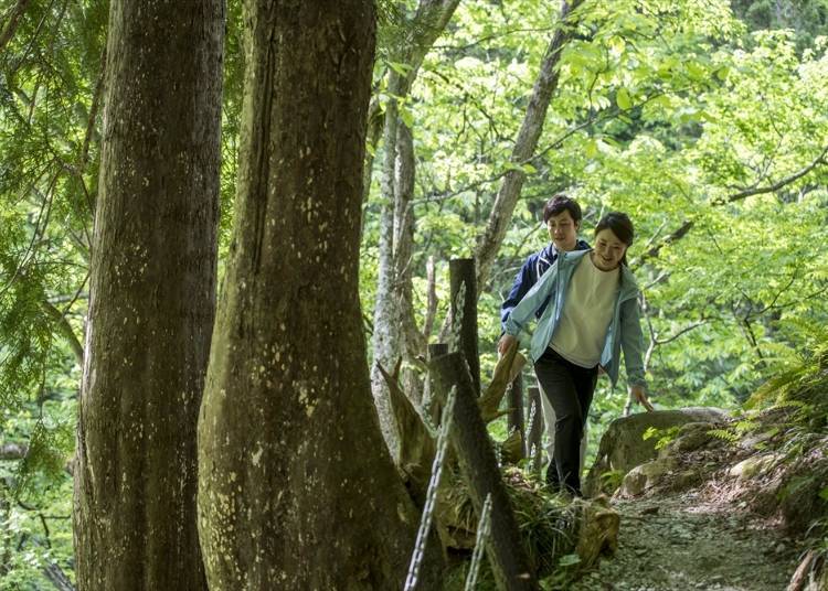 Trekking bersama pemandu Shirabu (Foto: Takamiya Hotel Group, hanya sebagai ilustrasi).