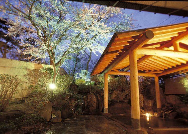 Pemandian terbuka, dengan bunga sakura di musim semi (Foto: Yubou Ichiraku).
