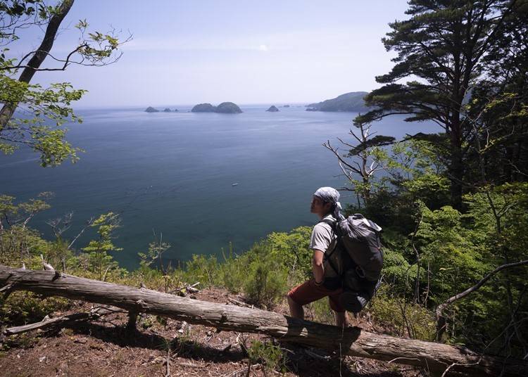東日本大震災の被災地を巡り、自然の美景と脅威に触れる