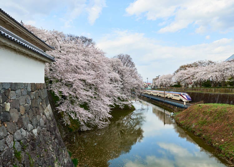 3. Yamagata Shinkansen (Yamagata Prefecture): Cherry blossoms adorn Kajo Park’s moat