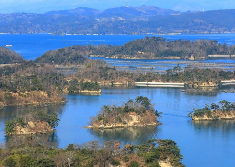 The Matsushima area is dotted with beautiful pine tree-covered islands. Photo: PIXTA