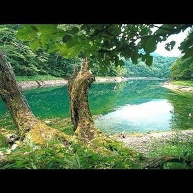 Lake Juniko Aoike Pond