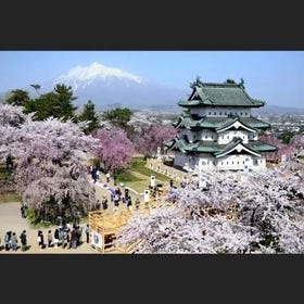 Hirosaki Castle and Park