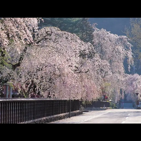 Kakunodate Bukeyashiki Samurai Residences