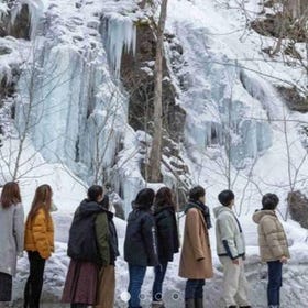 Oirase Winter Nature Guided Tour