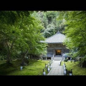 円通院