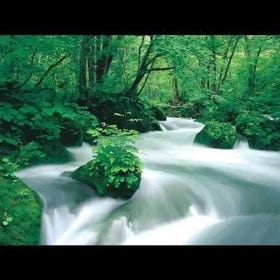 奥入瀬渓流