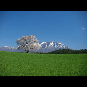 小岩井農場