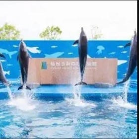 【宮城】 仙台うみの杜水族館 入館チケット（宮城）