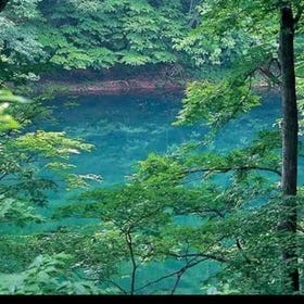 蔦の七沼
