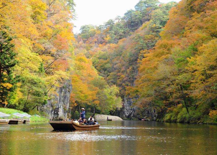 賞楓不只用看的，更要用玩的！日本東北秋田、山形、福島等賞楓體驗活動精選