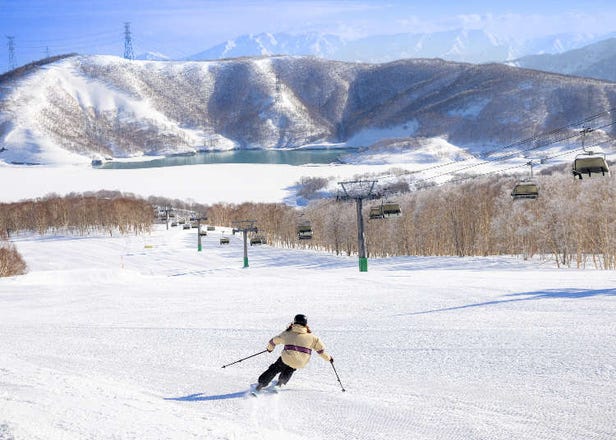 【2023年】かぐらスキー場完全ガイド！レベル別おすすめコースやスクール、レンタル情報も