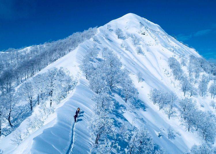 The Best Time to Ski in Niigata