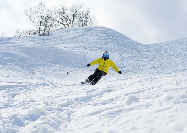 NASPA Ski Garden: Ample Courses From Beginner to Expert