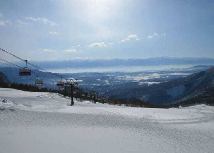 妙高杉ノ原スキー場：約80％が初級・中級コース！広くて安心のスキー場