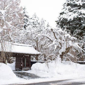 Kakunodate Bukeyashiki (Samurai Residences)(Old homes with snowy scenery)
(Photo: PIXTA)