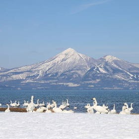 Lake Inawashiro (Snow White Swan Lake)
(Photo: PIXTA)