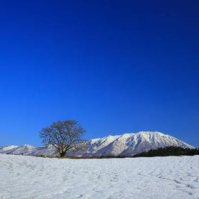 [冬天限定雪祭]小岩井農場
照片素材：PIXTA
