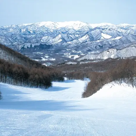 會津高原高杖滑雪場
▶點擊訂票