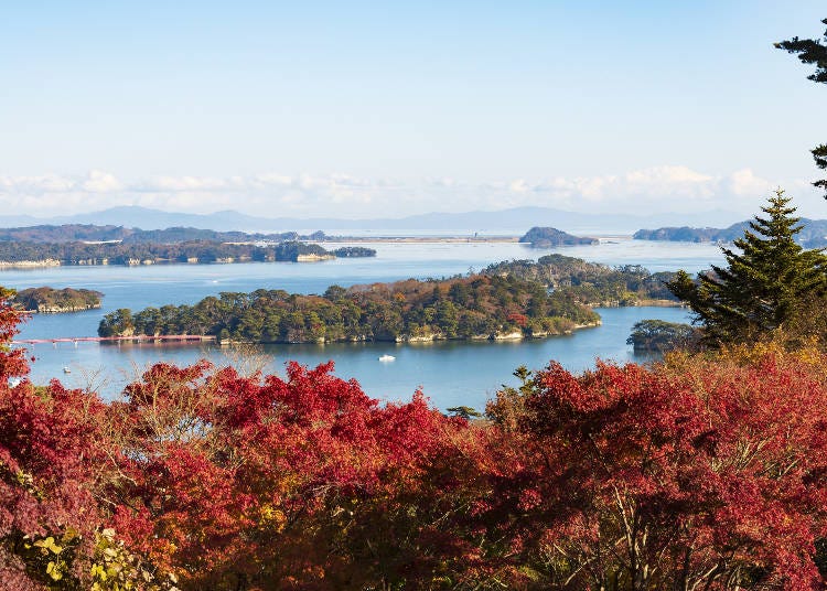 秋天的松島｜照片來源：PIXTA
