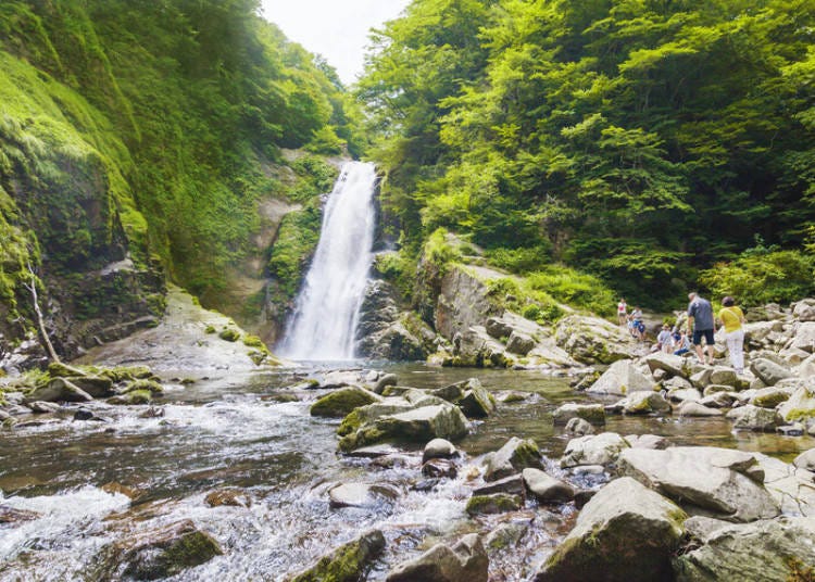 秋保温泉の観光名所、秋保大滝は「日本の滝百選」にも数えられる幅6m落差55mの名瀑（画像提供：仙台観光国際協会）