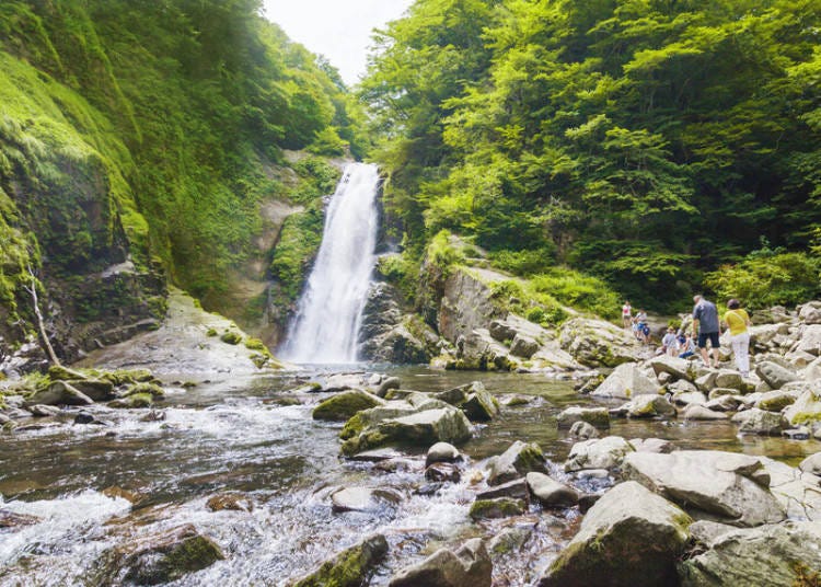 秋保溫泉知名景點秋保瀑布被選為「日本瀑布百選（日本の滝百選）」之一，瀑布寬6公尺高低落差55公尺（圖片提供：仙台觀光國際協會）