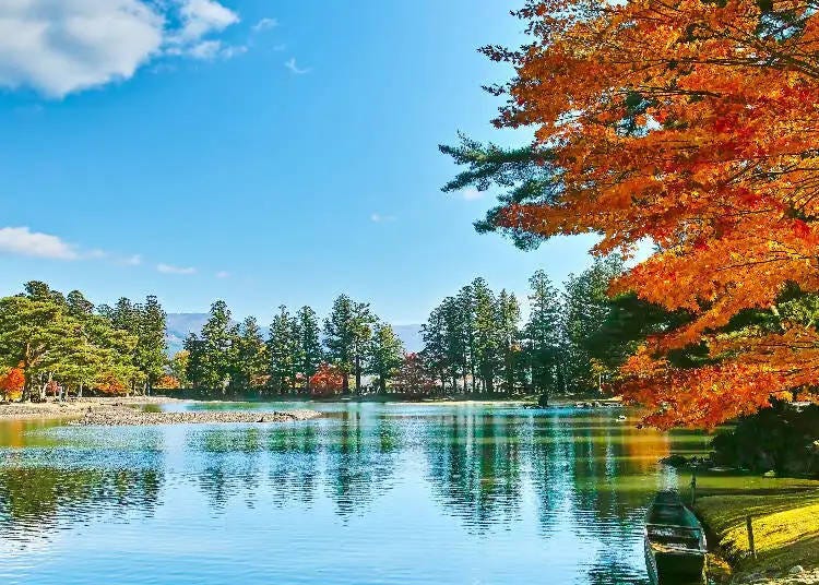 The beautiful Jodo Garden at Motsu-ji (Photo from article #a3000052)