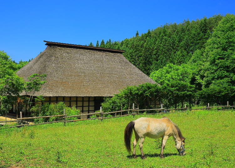 Tono Furusato Village (Photo: PIXTA)