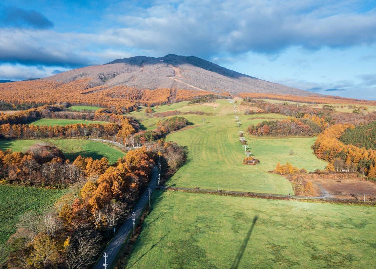 Hachimantai: An Autumnal View of Appi Kogen in Iwate Prefecture (Photo: PIXTA)