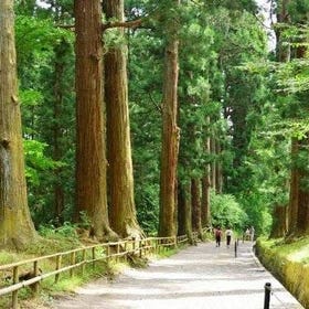 Hiraizumi Half-Day Private Trip with Government-Licensed Guide
(Photo: Viator)