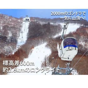 이와테고원 스노우 파크