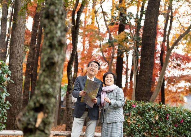 長青族才更懂玩！日本50歲以上女性推薦紅葉景點排行榜
