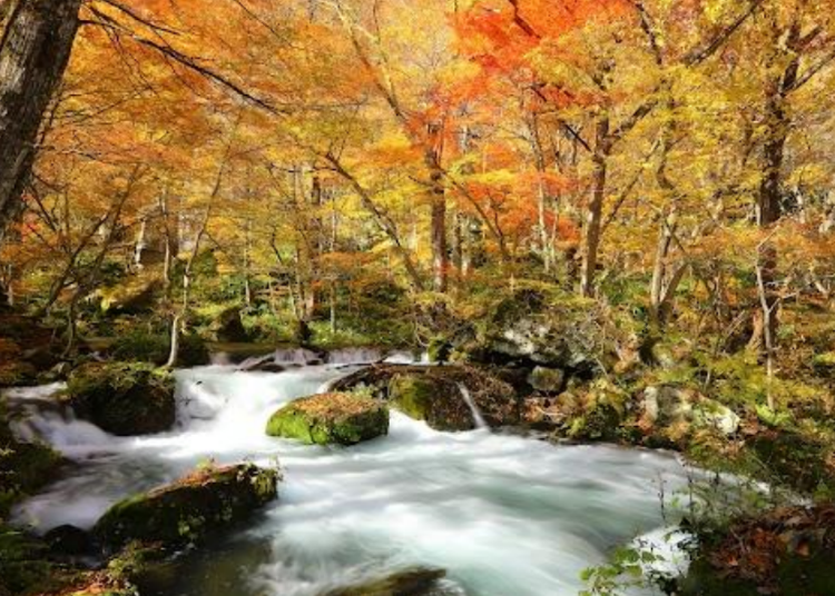 紅葉景點人氣①～青森奧入瀨溪就是美到沒話說