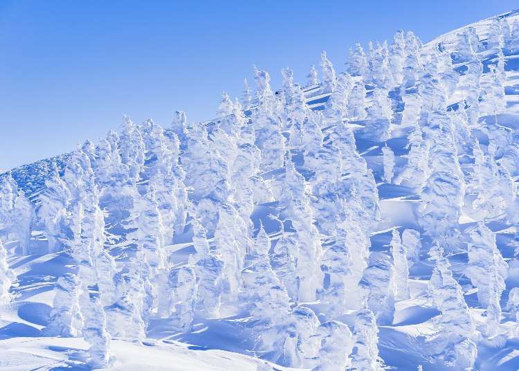 日本山形「藏王樹冰」完全解說：遇見雪怪冬季奇幻之旅