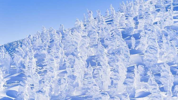 자오의 스노우 몬스터(수빙): 야마가타의 신비로운 겨울로 떠나는 여행