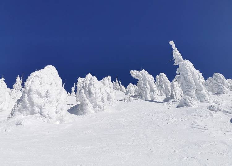 Jutting out against a blue skyline, the Zao Snow Monsters are one of a kind! (Photo: PIXTA)