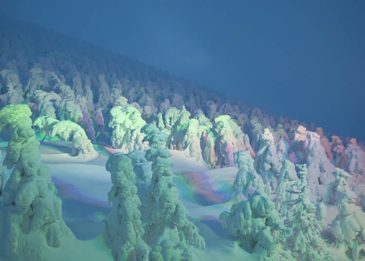 當燈光亮起，藏王樹冰看起來彷如來自異世界的奇幻生物 (圖像:PIXTA)