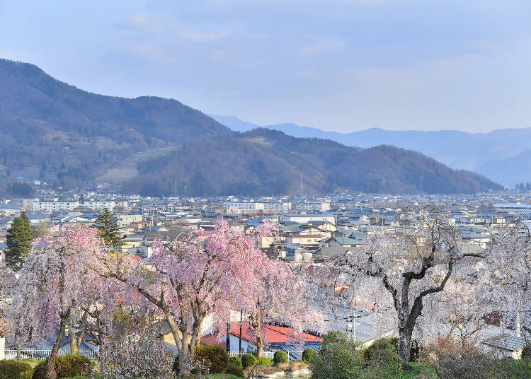 가미노야마 온천마을은 야마가타시에서 당일치기로 갈 수 있는 짧은 여행지로, 도쿄에서 JR 야마가타 신칸센 '츠바사'를 타고 직진할 수 있는 곳이다. (사진설명: PIXTA)