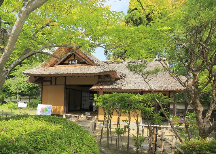 The Rinkaku Tea Room is a great way to take a step back and relax during your travels. (Photo: PIXTA)
