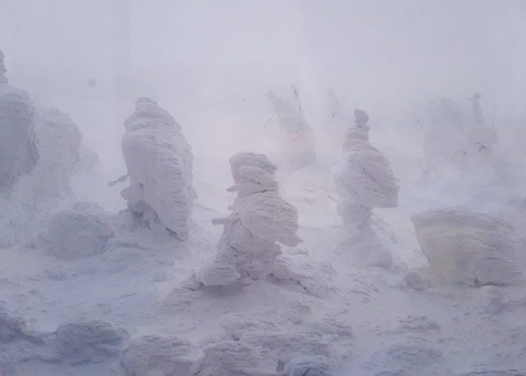 風雪中張牙舞爪的樹冰雪怪更讓人望而生畏(圖片出處: Expedition Japan)
