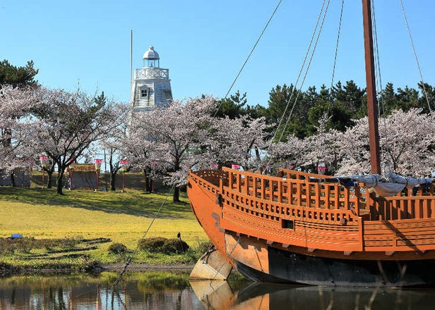 10 Breathtaking Places in Yamagata to See the Cherry Blossoms
