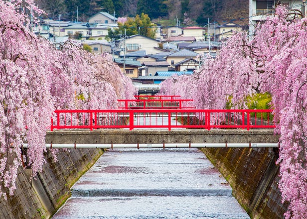 야마가타 벚꽃 여행 - 동북(도호쿠)지역의 야마가타에서 벚꽃을 볼 수 있는 10곳의 추천 장소 정리