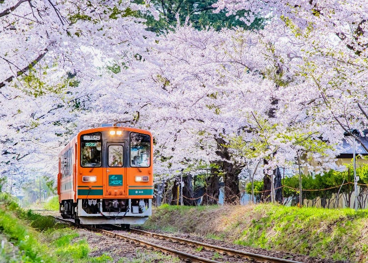 (사진: PIXTA)