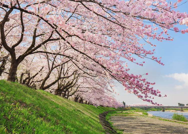 (Photo: PIXTA)