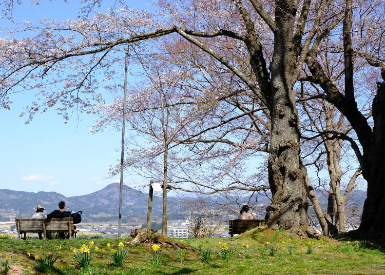 (Photo: PIXTA)