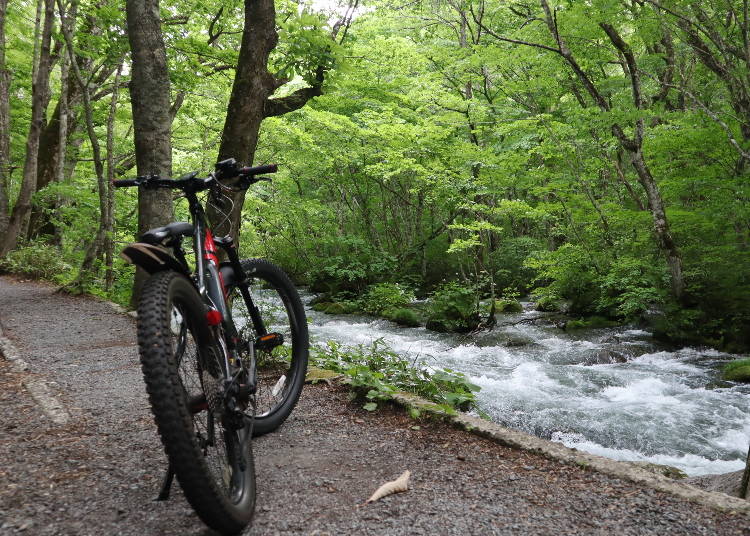 ②自然の中を駆け抜けるE-BIKEでのサイクリング