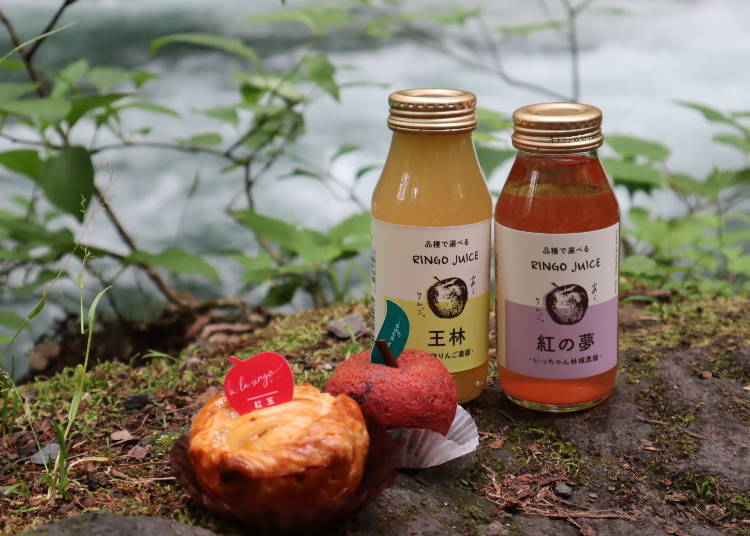 溫泉×自然×美食，日本療癒之旅