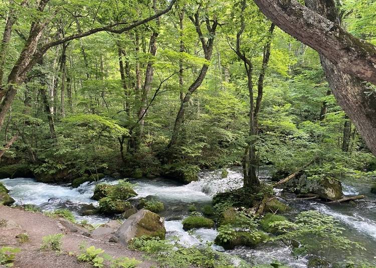 訪問のヒントと注意事項